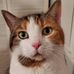 Jane Otterson - Facebook