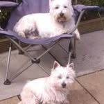 Jan Owen - @jeannette.owen.7 - Instagram