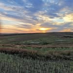 Jan-Owen Bosman - @janowenbosman - Instagram