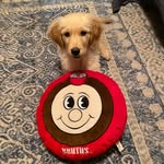 Jan Packard - @buckeyes_n_broncos - Instagram