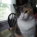 Janice Packard - Facebook