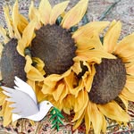 Jan Jeffreys Painter - @janpainter3 - Instagram