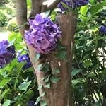Jan Painter - @painter3510 - Instagram