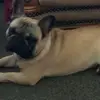 Jan Painter - @jan.painter - TikTok