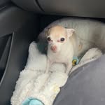 Jan Painter Morris - @jmorris0829 - Instagram