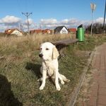 Jan Panek - @jan.panek.1650 - Instagram