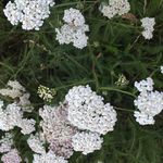 Jan Panek - @jan__panek - Instagram