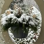 Jan Wilkins Pappas - @lifeease - Instagram