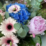 Jan Park - @janatblue - Instagram