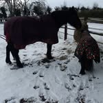 Jan Park - @jan.park.9279 - Instagram
