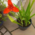 Jan Parkin - @jan.parkin.18 - Instagram