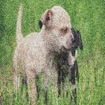Jan Parrish - @jan.parrishos8dfa - Instagram