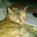 Jan Parrish - Facebook