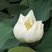 Jan Pascoe - Facebook
