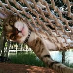 Jan Patterson - @jan.patterson.9235 - Instagram