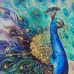 Jan Peacock - Facebook