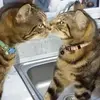 Jean Pearman - @jean.pearman - TikTok