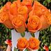Jan Peck - Facebook