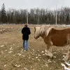 Janick - @janick.pelletier - TikTok