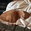 Janna - @janna.pelletier - TikTok