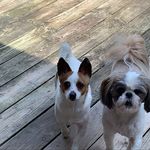 @chloejane_pendleton - Instagram