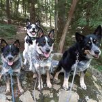 Jan Pendleton - @jpen6411 - Instagram