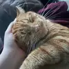😔 - @jan.penneyy - TikTok
