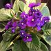 Jan Perdue - Facebook