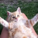 Jane Perdue - @jane.perdue.104 - Instagram