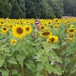 Jan Perkins - @jan.perkins54 - Instagram