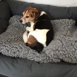 Jan Perkins - @janperkins - Instagram