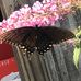 Jan Perkins - Facebook