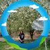 Janet Persinger - Facebook