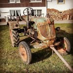 Jan Pfeifer - @wolfsmeister - Instagram