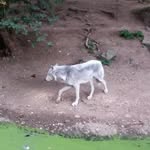 Jan Pfeifer - @pfeifer.jan - Instagram