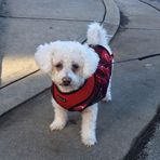 Jan Pham - Facebook