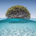 Jan Philips - @janphilipstravel - Instagram