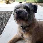 Jan Phipps - @phipps759 - Instagram