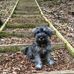 Jan Pickering - Facebook