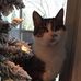 Jan Pierson - Facebook