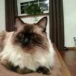 Jan Pilch - @jan_pilch - Instagram