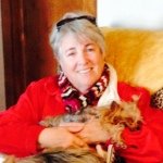 Jan Pipkins - @janpipkins - Instagram