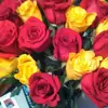 Janeen Pipkin - @janeen.pipkin - TikTok