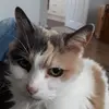 janepitman1964 - @janepitman1964 - TikTok