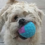 Jan Pitt - @jan.pitt.10 - Instagram