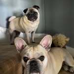 Jan Pitts - @jan_pitts73 - Instagram