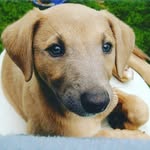 Jan Pocock - @janpocock - Instagram