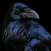 JanePoe - @justjane773 - TikTok