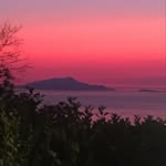 Jan Polly Mohr - @pollym47 - Instagram