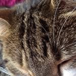 Jane Pomeroy - @pomeroyjane - Instagram